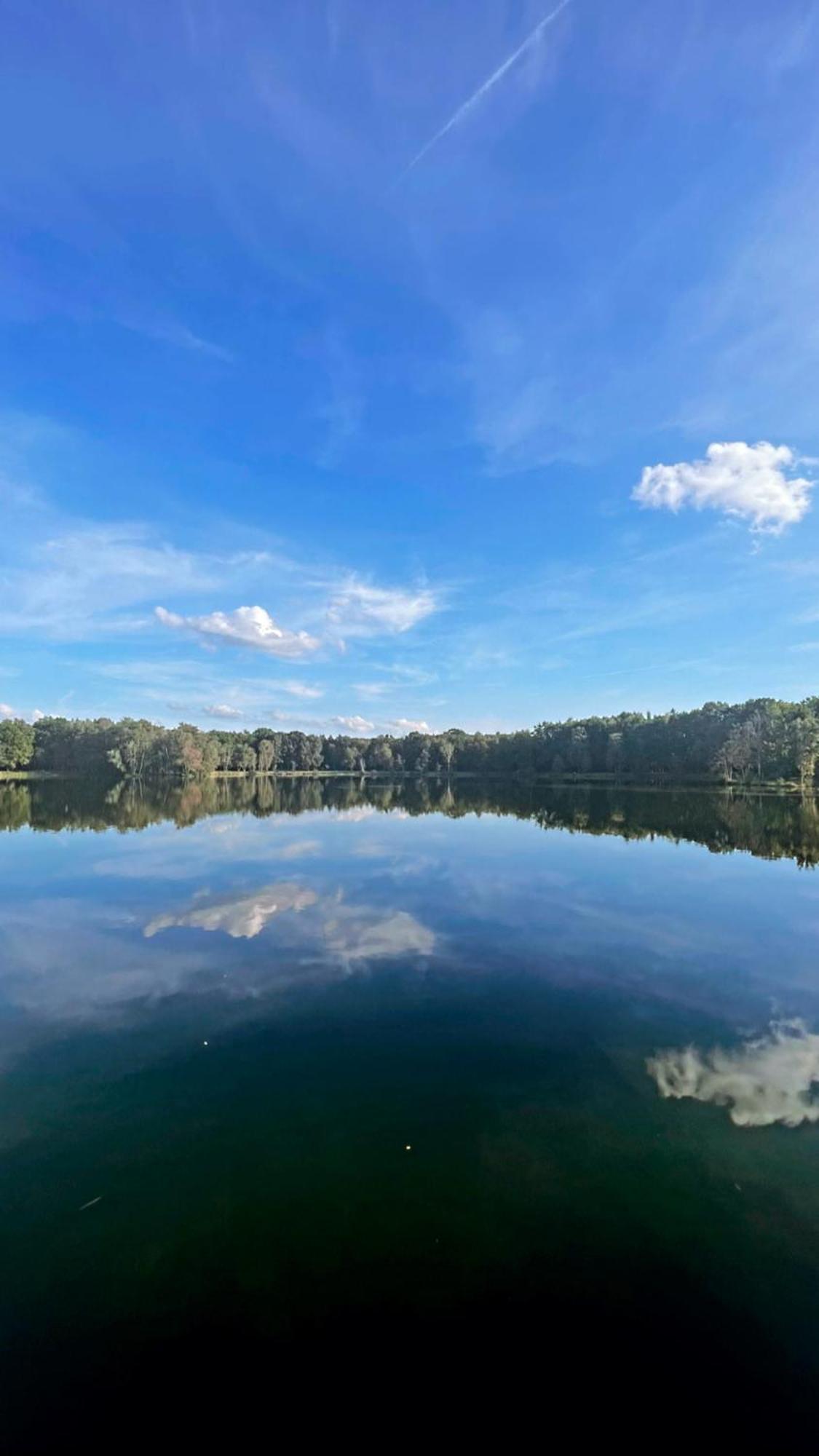 Boshuisje Pinus Sonnevijver Residences Lanaken Dış mekan fotoğraf