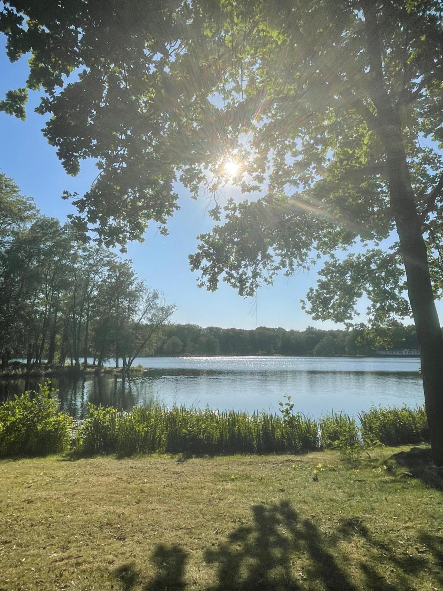 Boshuisje Pinus Sonnevijver Residences Lanaken Dış mekan fotoğraf