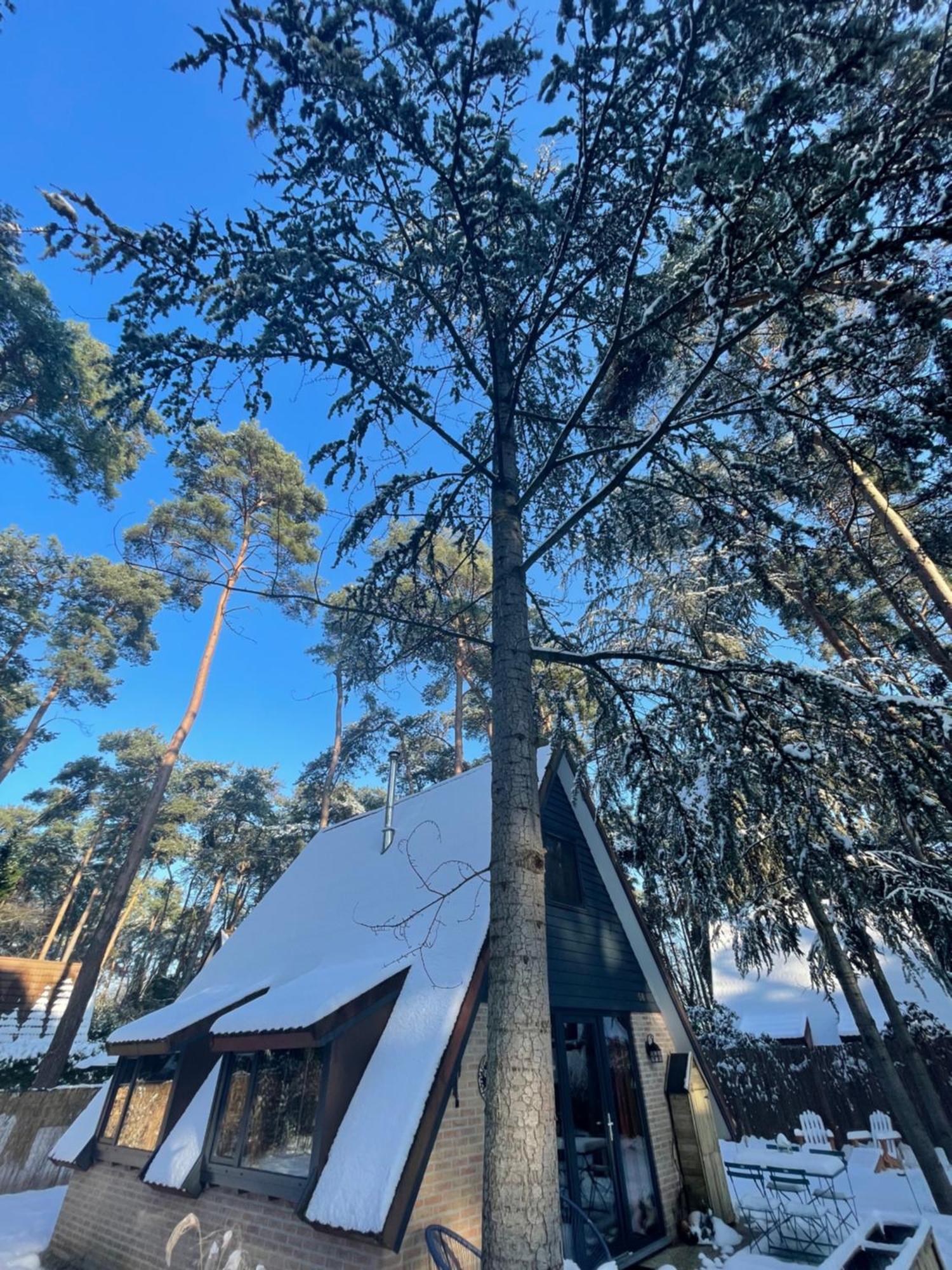 Boshuisje Pinus Sonnevijver Residences Lanaken Dış mekan fotoğraf